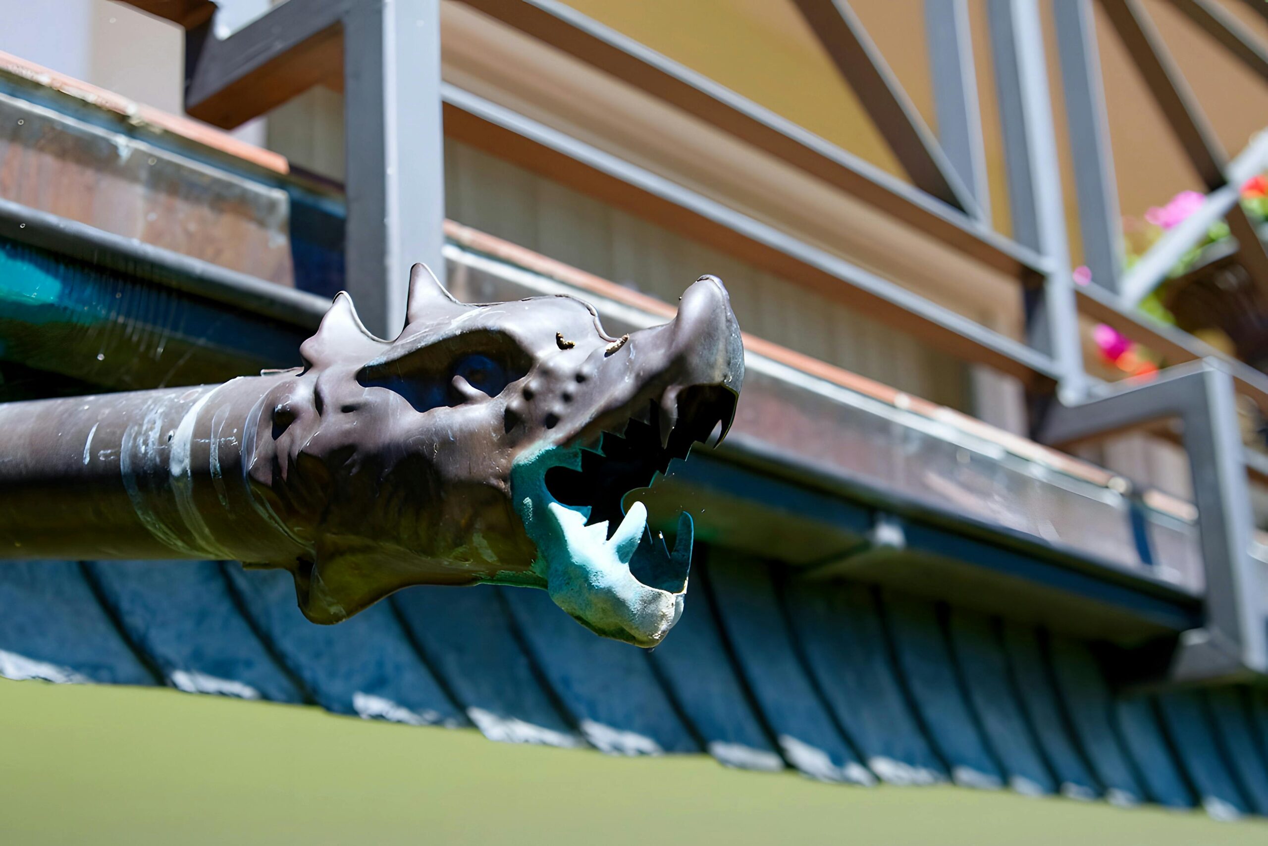 pexels photo 36393720 36393720 scaled.jpg